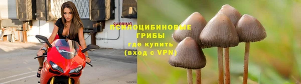 spice Володарск