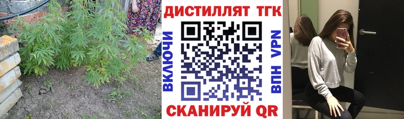 Купить где  Костерёво  Дистиллят ТГК гашишное масло 
